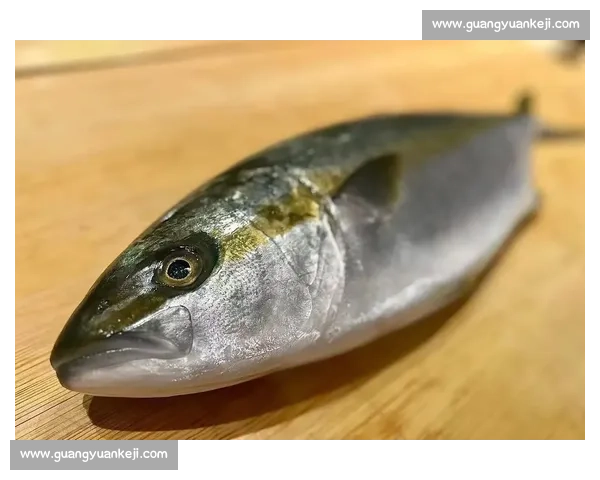 岱山海钓者意外发现：不同鱼类竟有独特 “语言”，百年渔谚暗藏声学密码